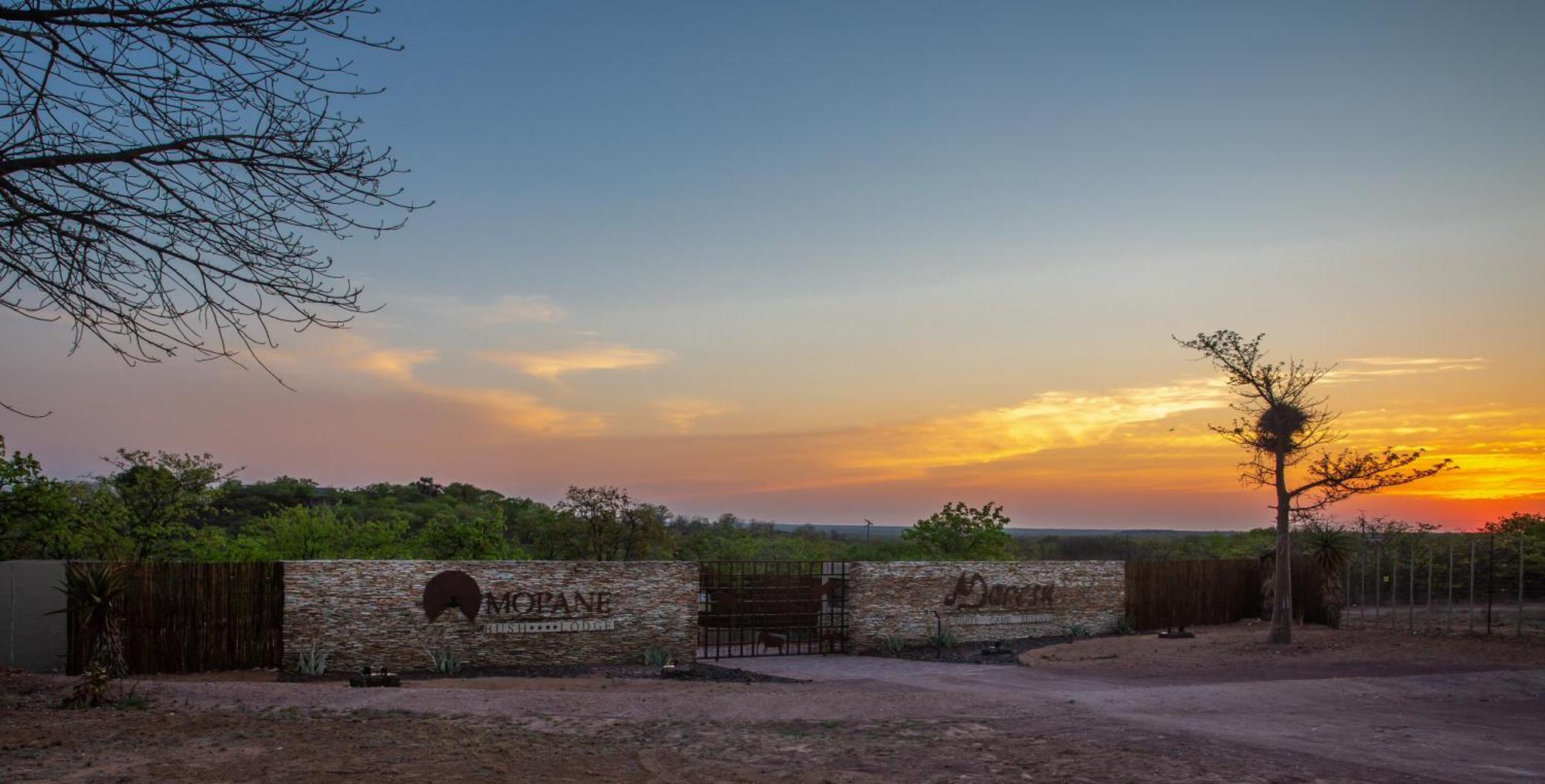 Mopane Bush Lodge Linton Экстерьер фото